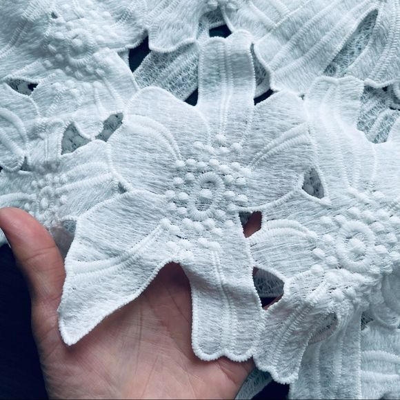 Caution the the Wind White Appliqué Crop Top - Picture 7 of 14